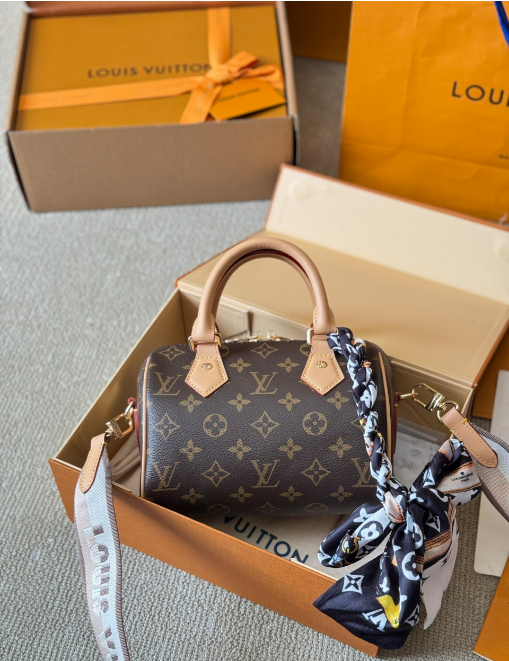 Louis Vuitton Bags