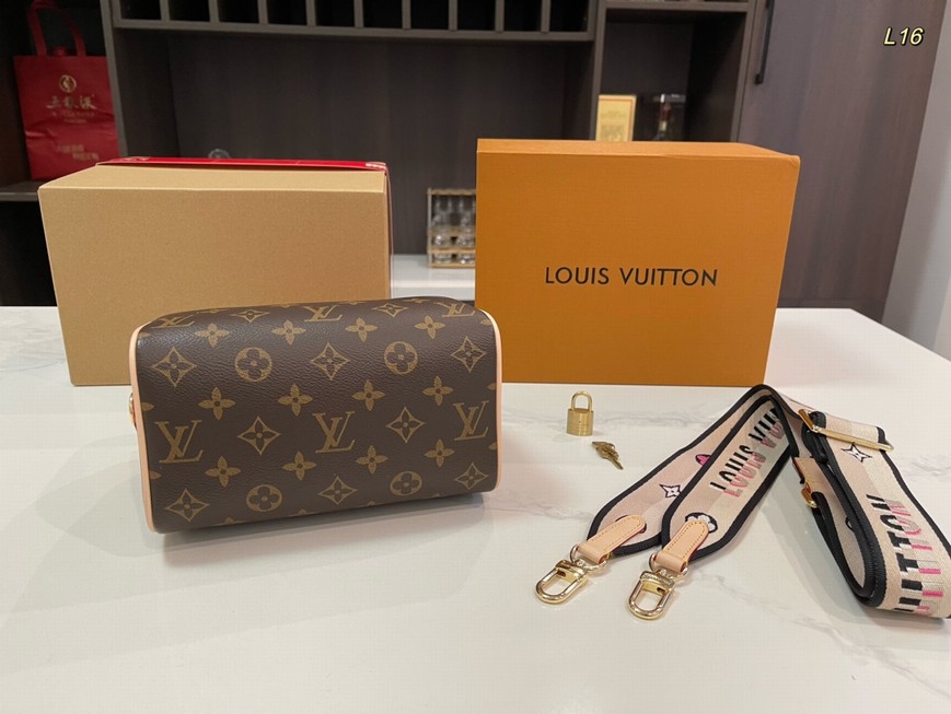 Louis Vuitton Bags