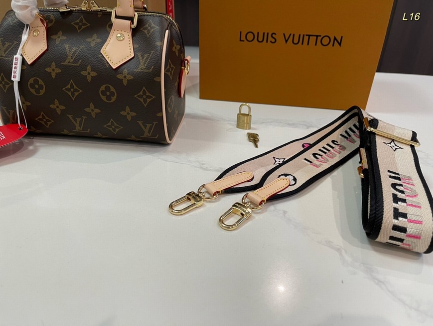 Louis Vuitton Bags
