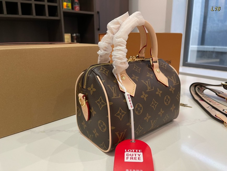 Louis Vuitton Bags