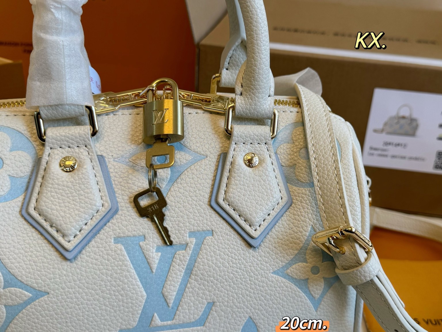 Louis Vuitton Bags