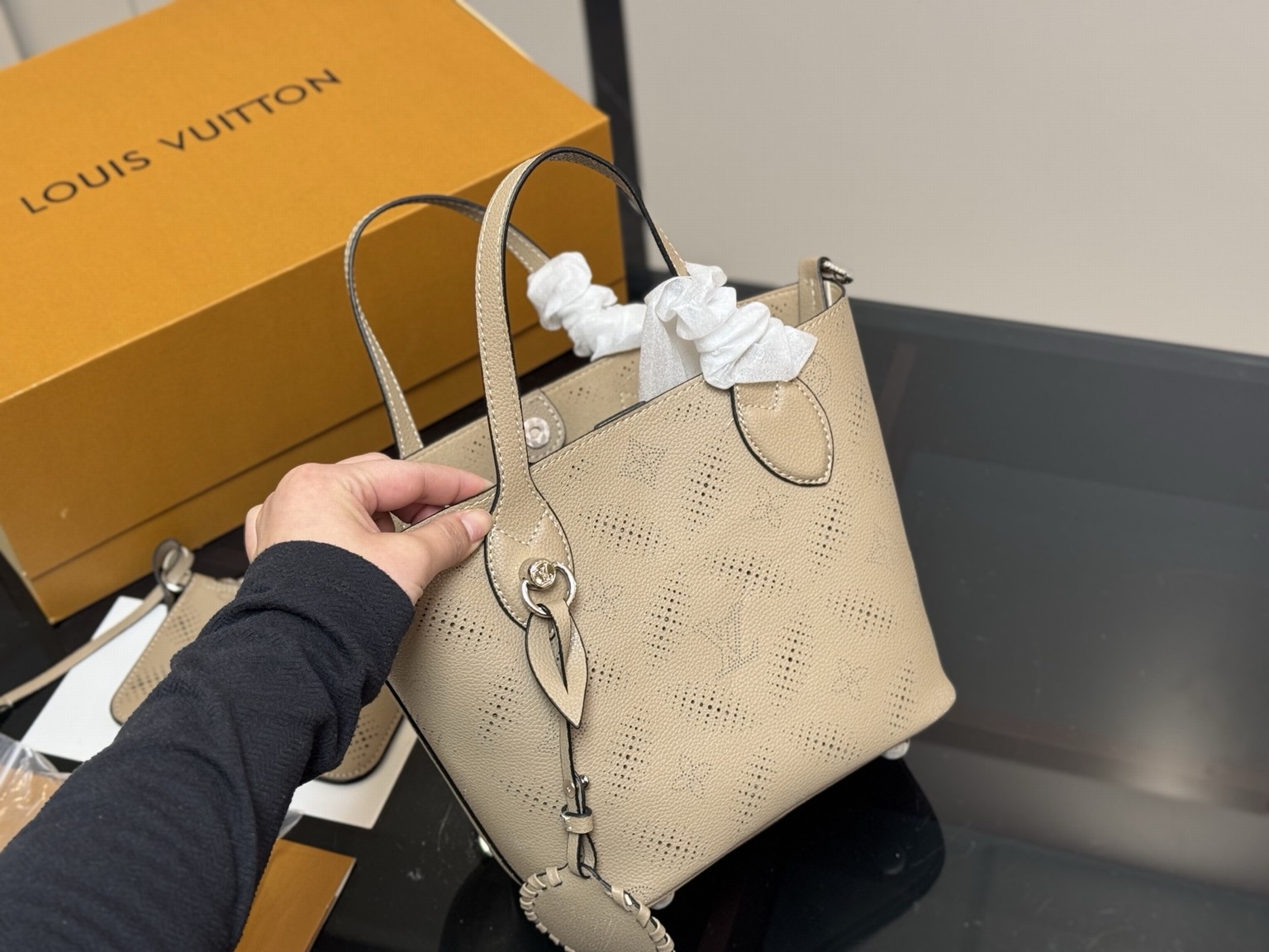 Louis Vuitton Bags