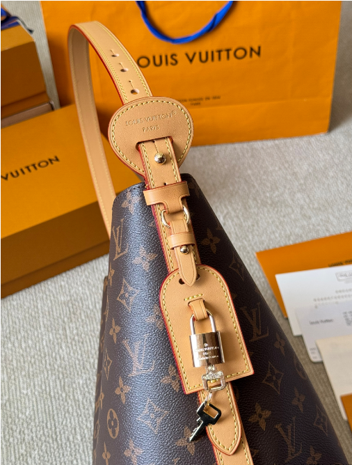 Louis Vuitton Bags