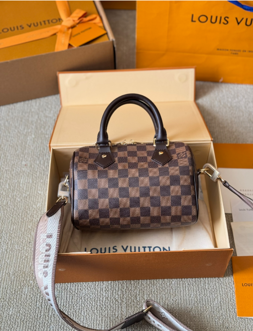 Louis Vuitton Bags