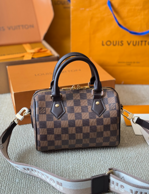 Louis Vuitton Bags