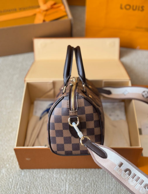 Louis Vuitton Bags