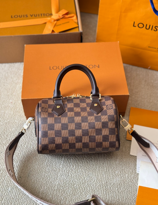 Louis Vuitton Bags