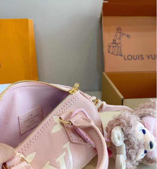 Louis Vuitton Bags