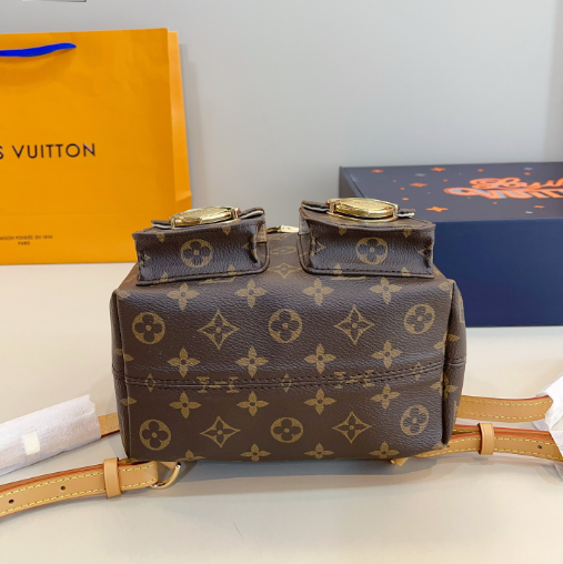 Louis Vuitton Bags