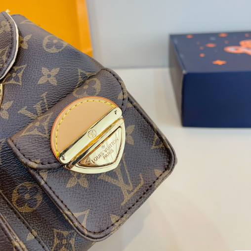 Louis Vuitton Bags