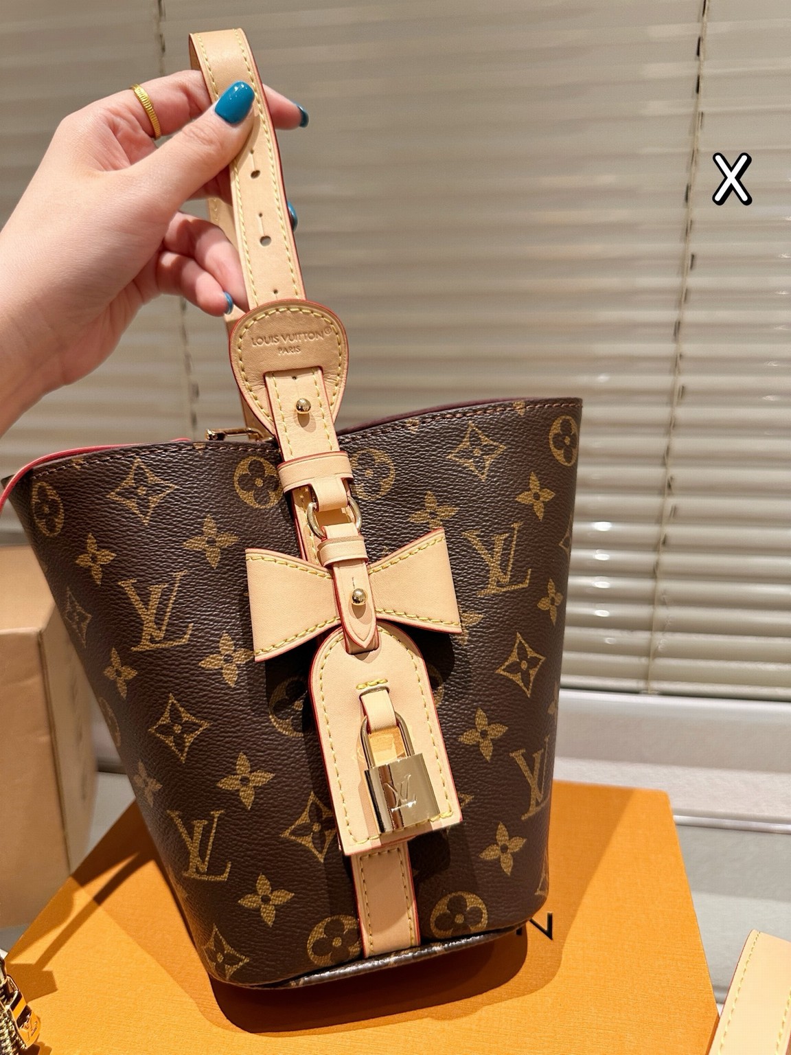 Louis Vuitton Bags