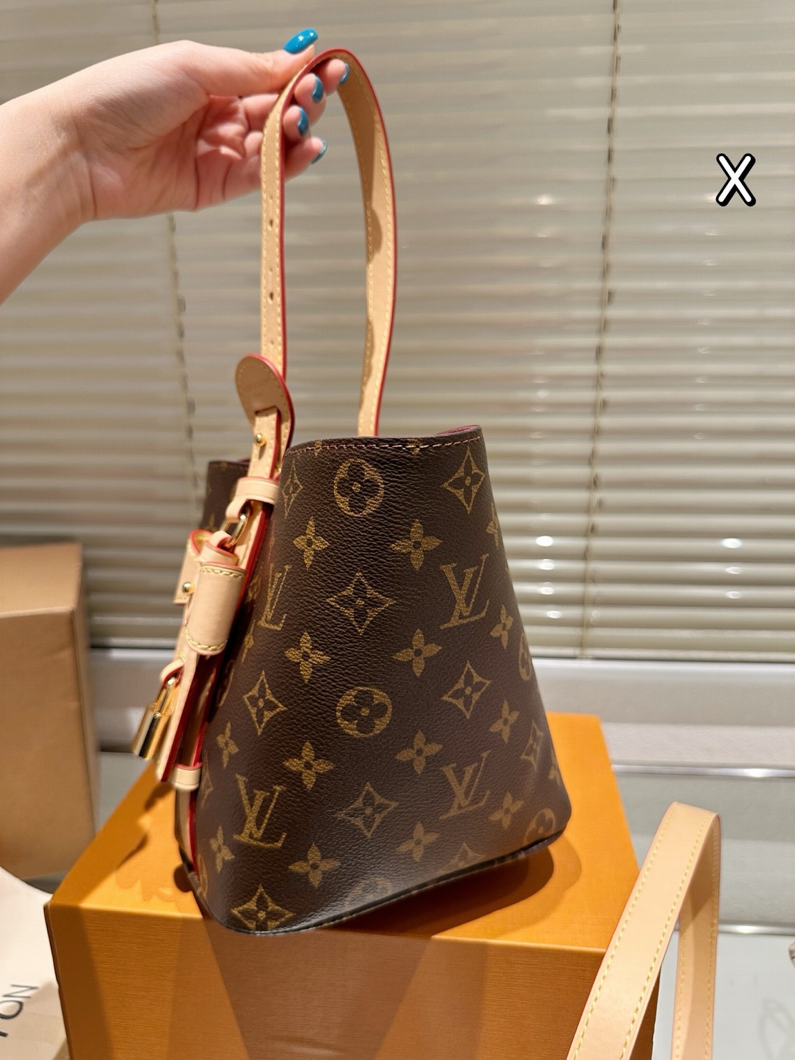 Louis Vuitton Bags