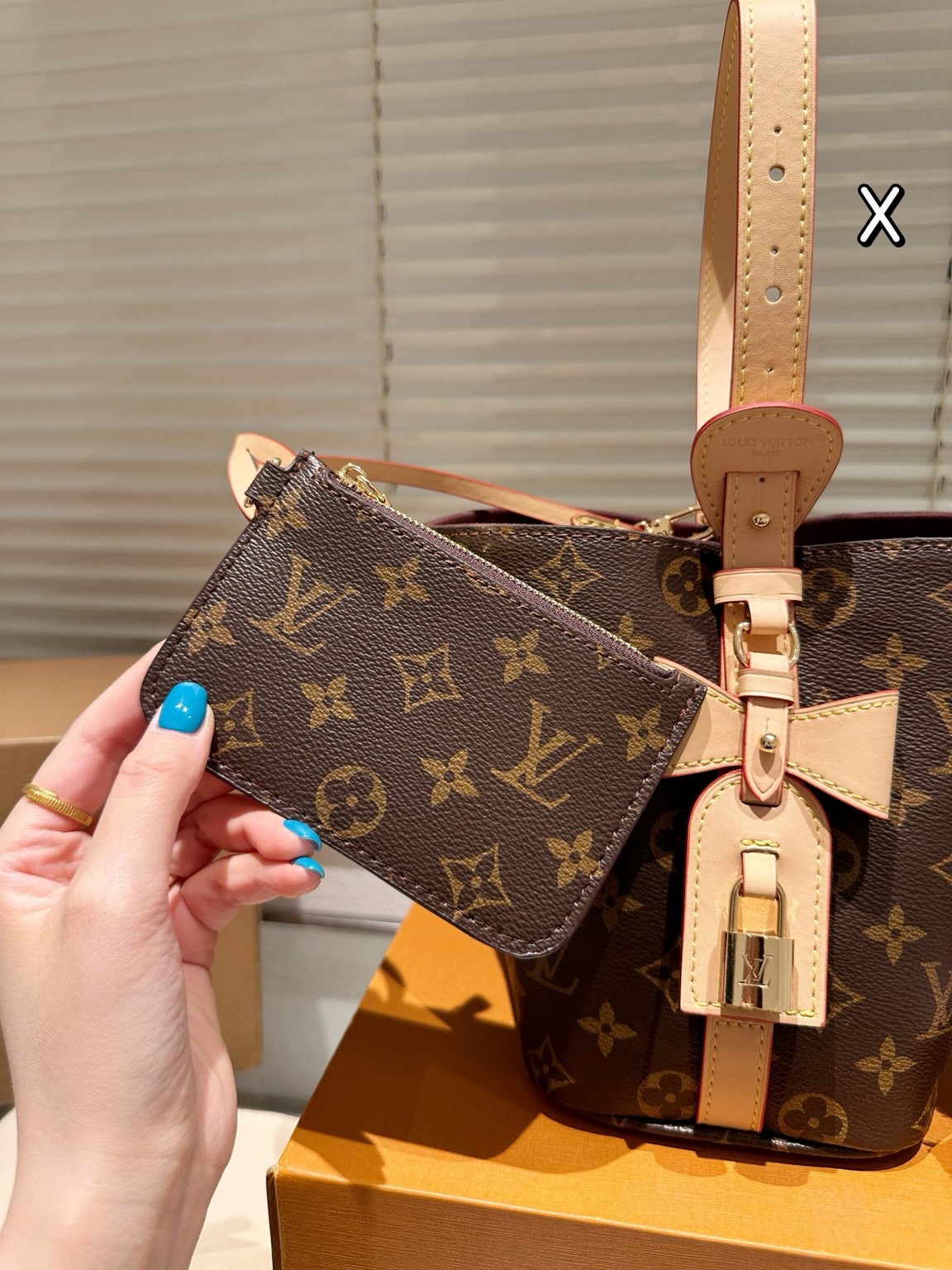 Louis Vuitton Bags