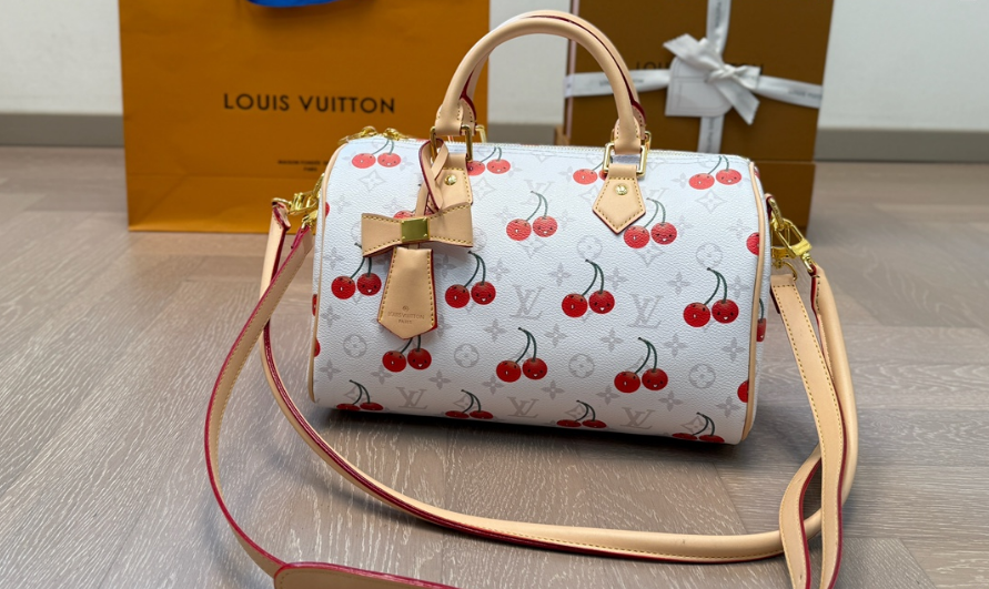 Louis Vuitton Bags