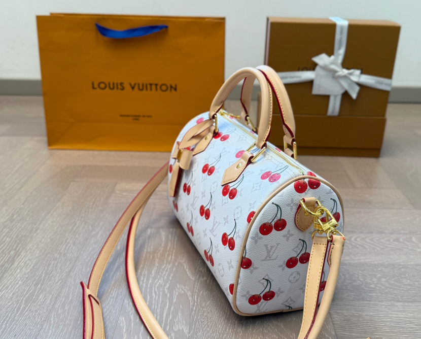 Louis Vuitton Bags