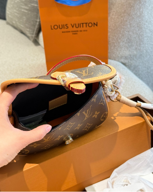 Louis Vuitton Bags