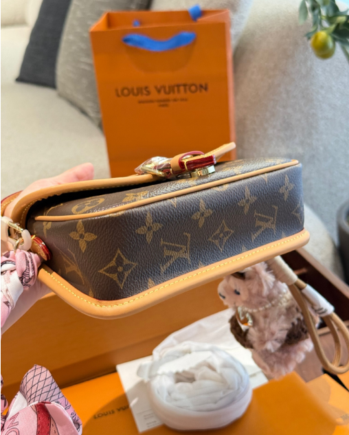 Louis Vuitton Bags