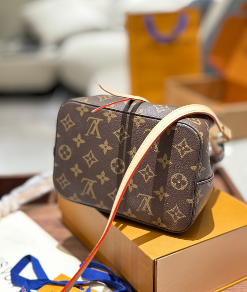 Louis Vuitton Bags