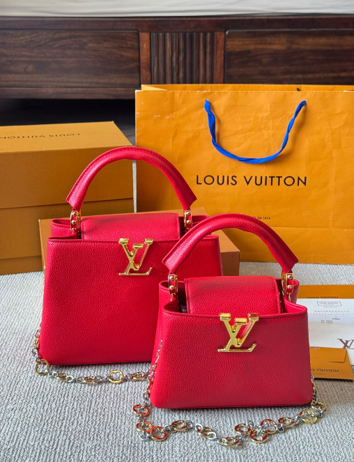 Louis Vuitton Bags