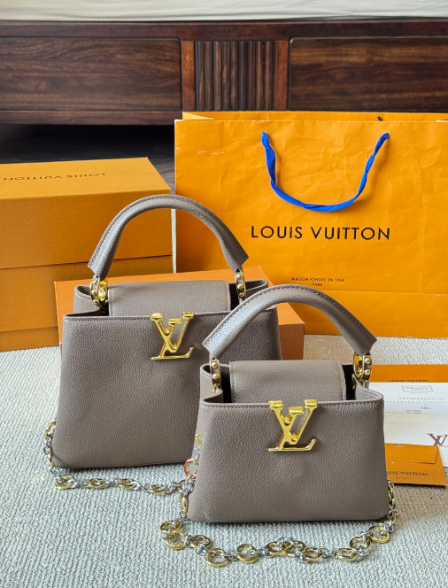 Louis Vuitton Bags