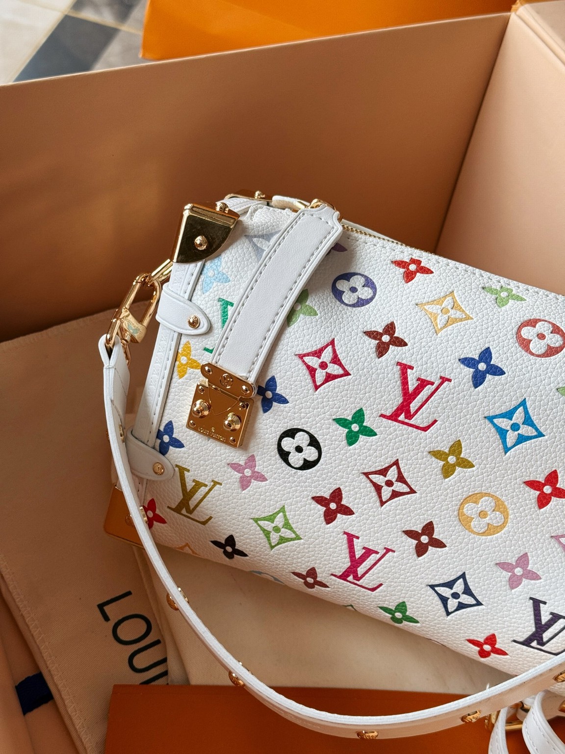 Louis Vuitton Bags