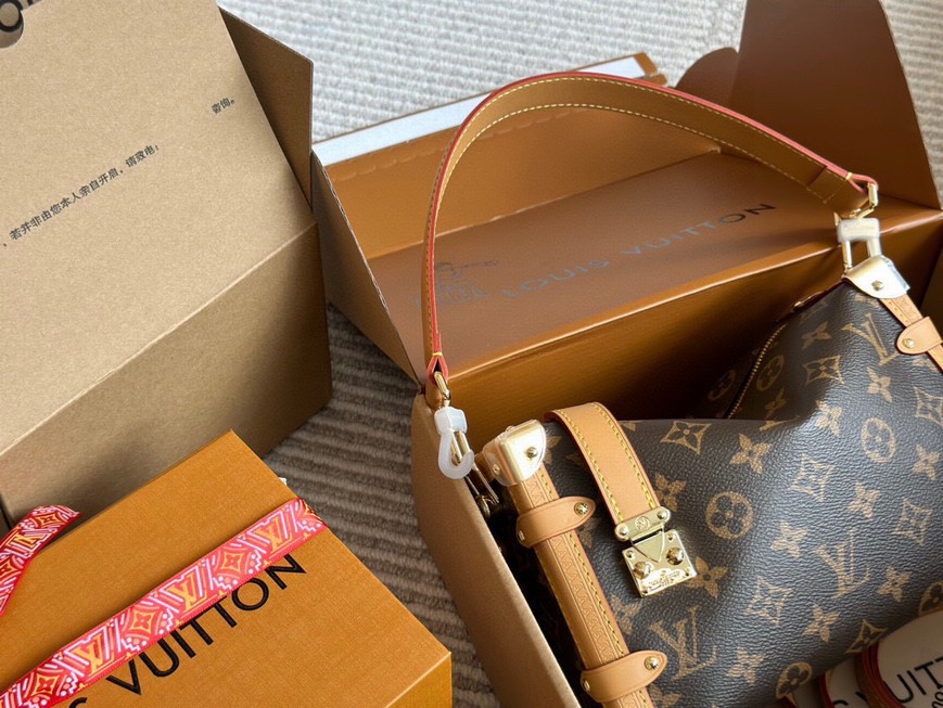 Louis Vuitton Bags