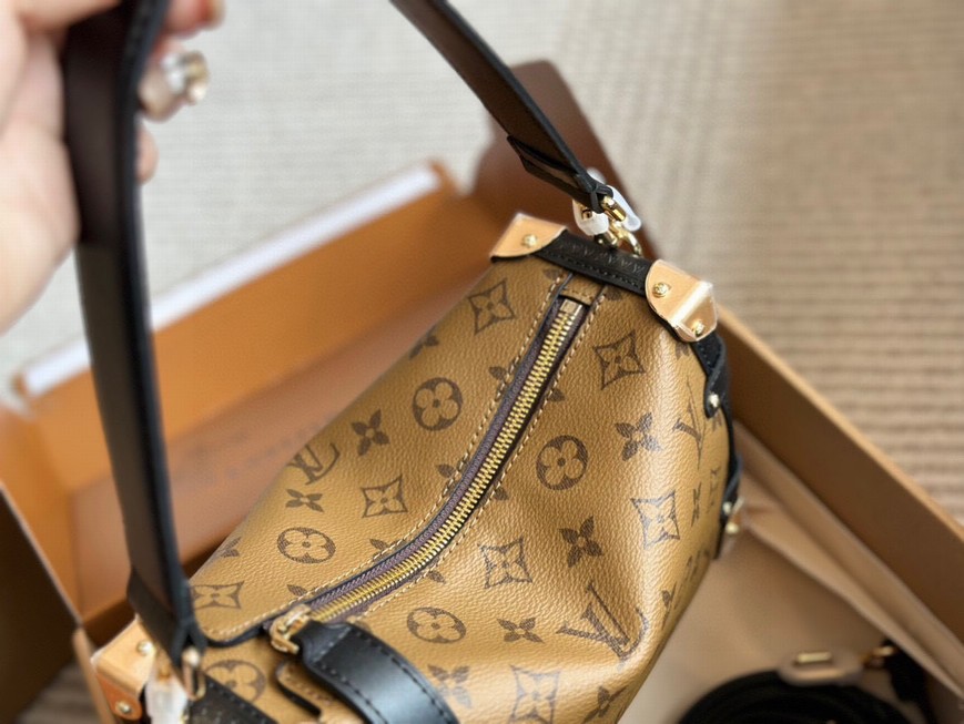Louis Vuitton Bags