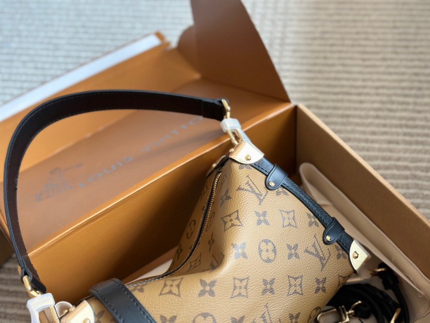 Louis Vuitton Bags