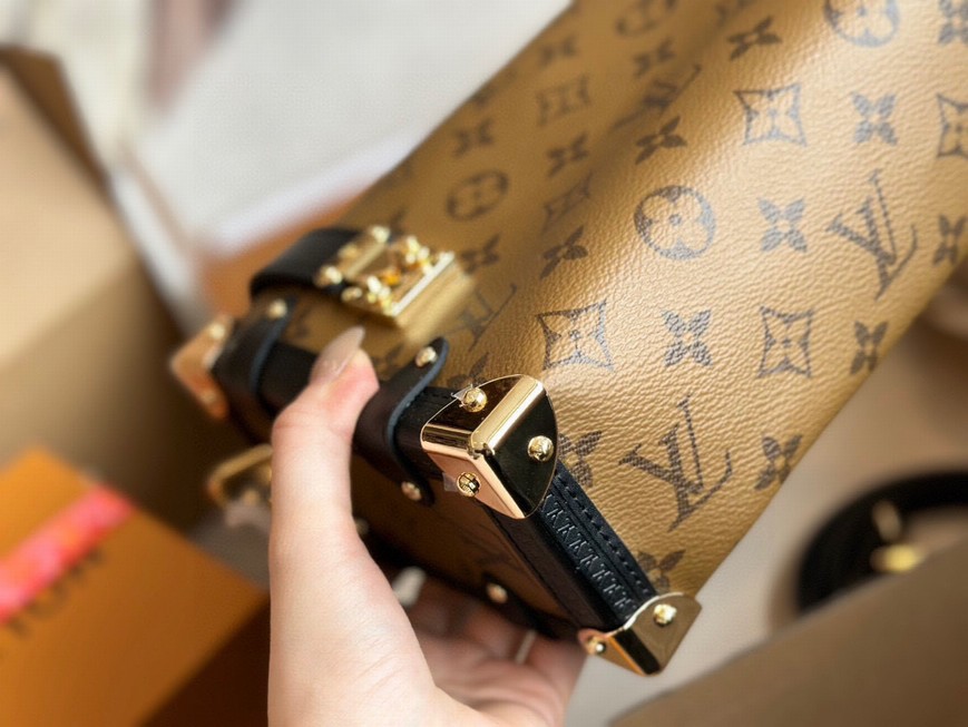 Louis Vuitton Bags