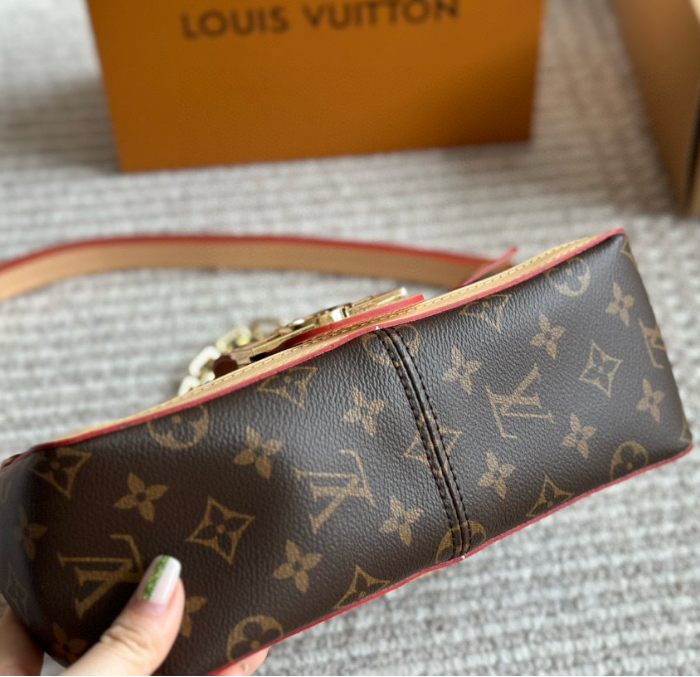 Louis Vuitton Bags