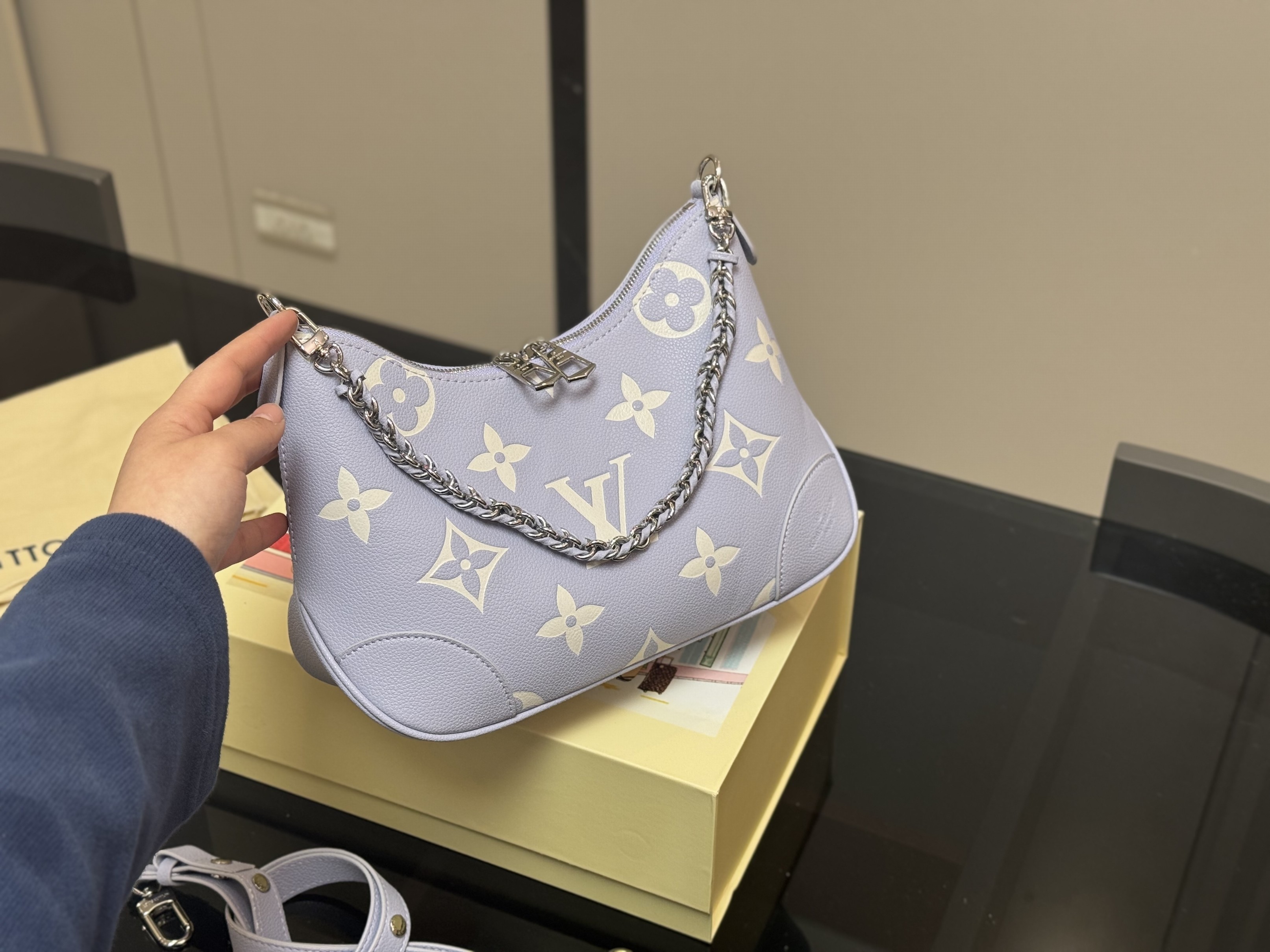 Louis Vuitton Bags