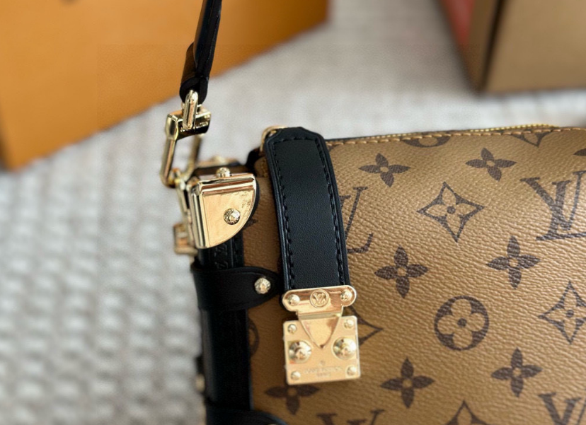 Louis Vuitton Bags