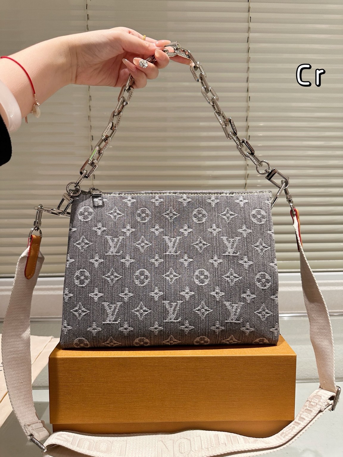 Louis Vuitton Bags