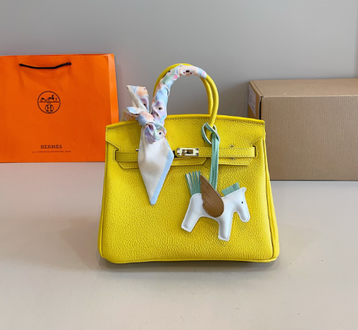 Hermes Bags
