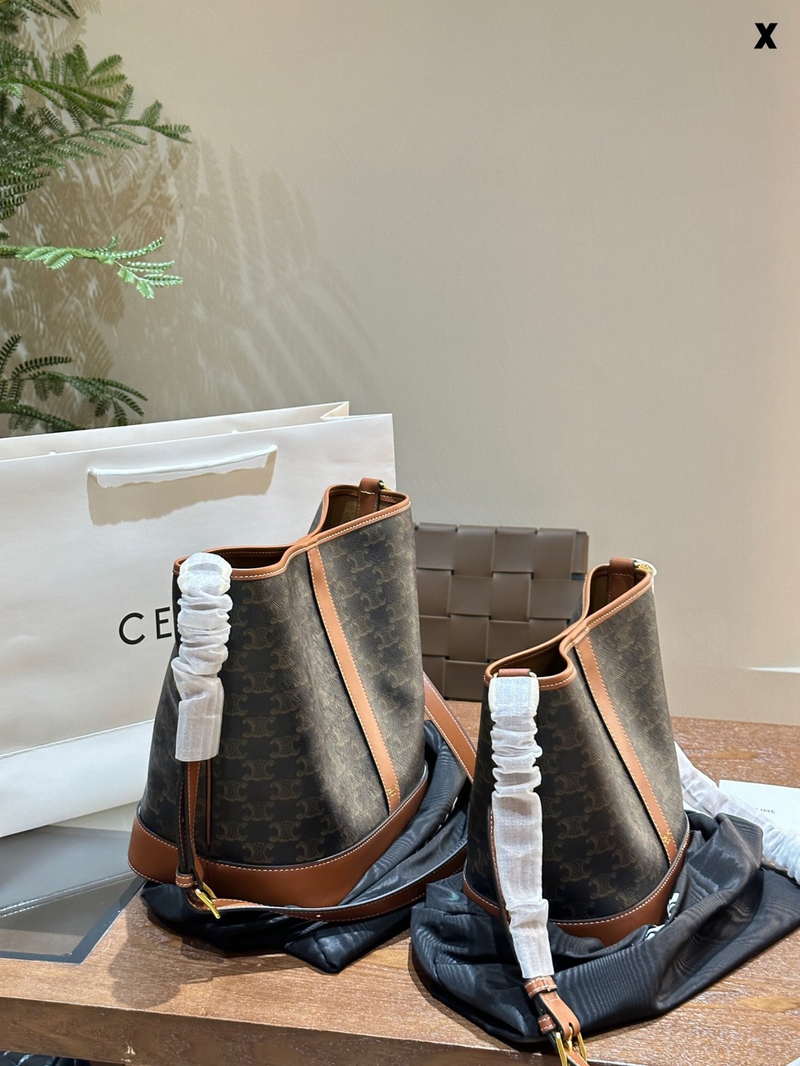 Celine Bags