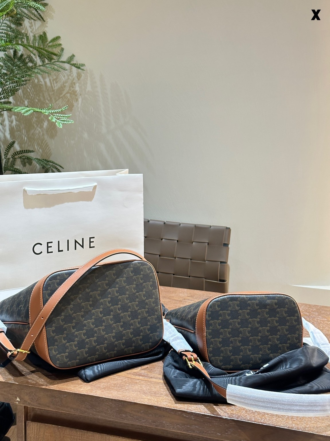 Celine Bags