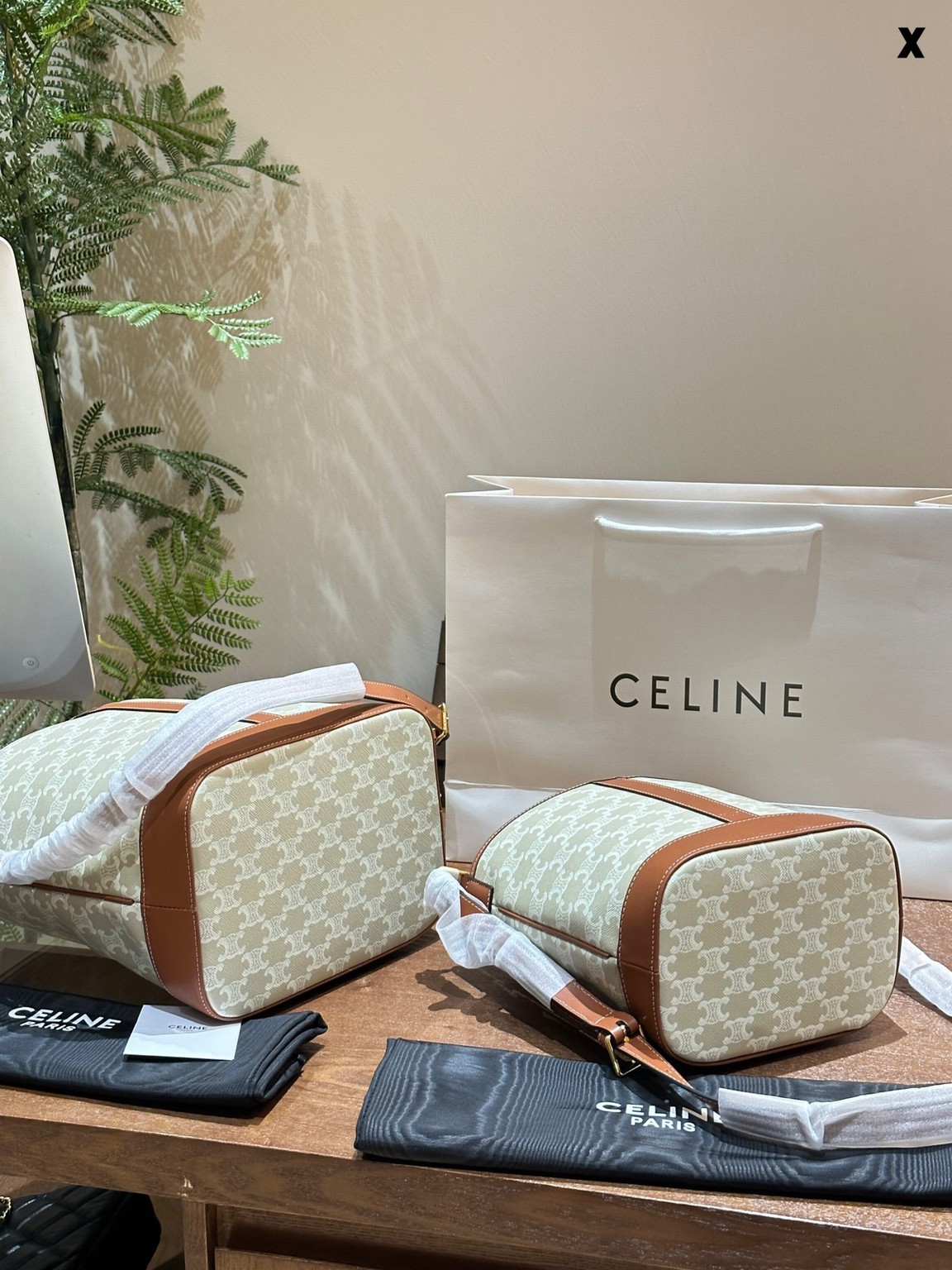 Celine Bags