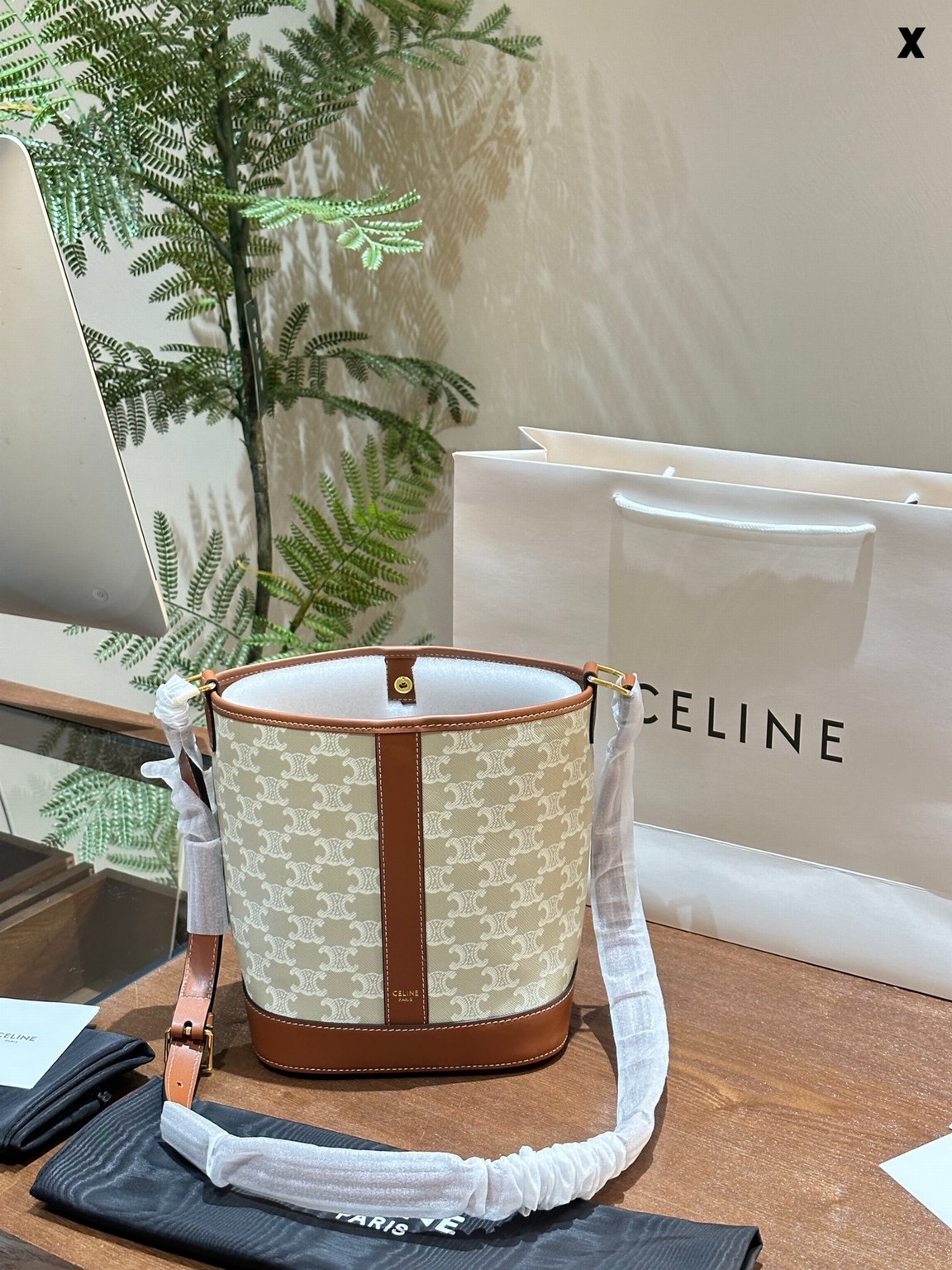 Celine Bags