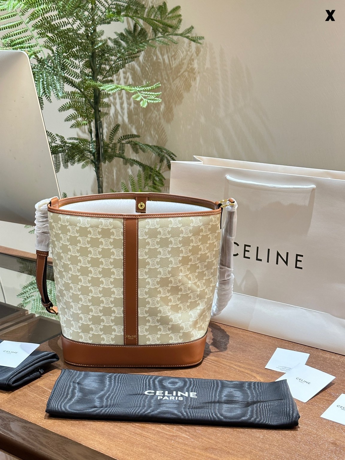 Celine Bags