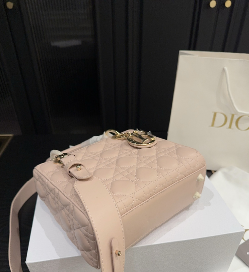 Christian Dior Bags