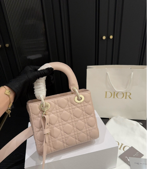 Christian Dior Bags