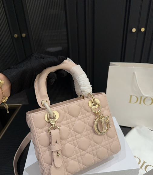 Christian Dior Bags
