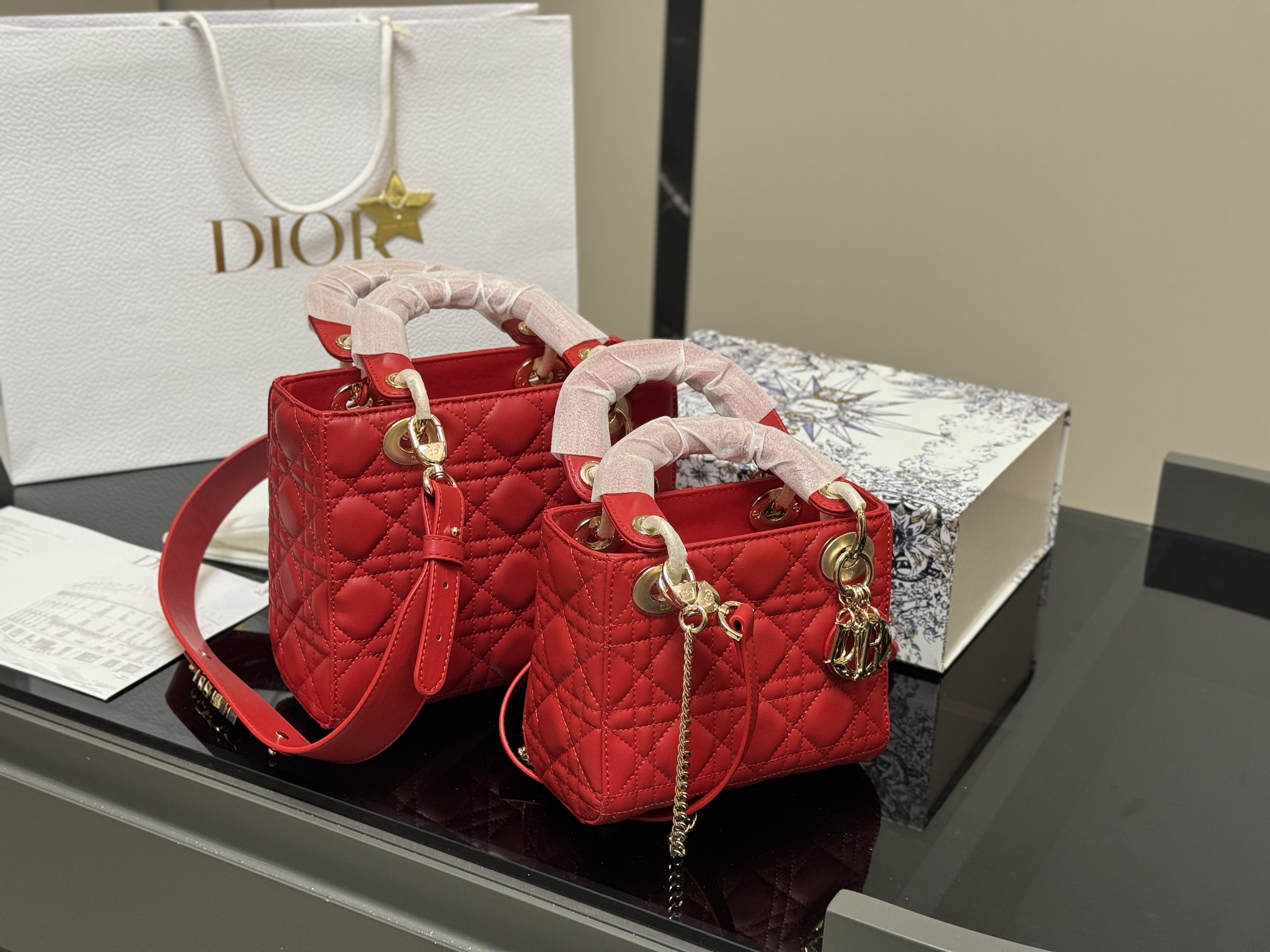Christian Dior Bags
