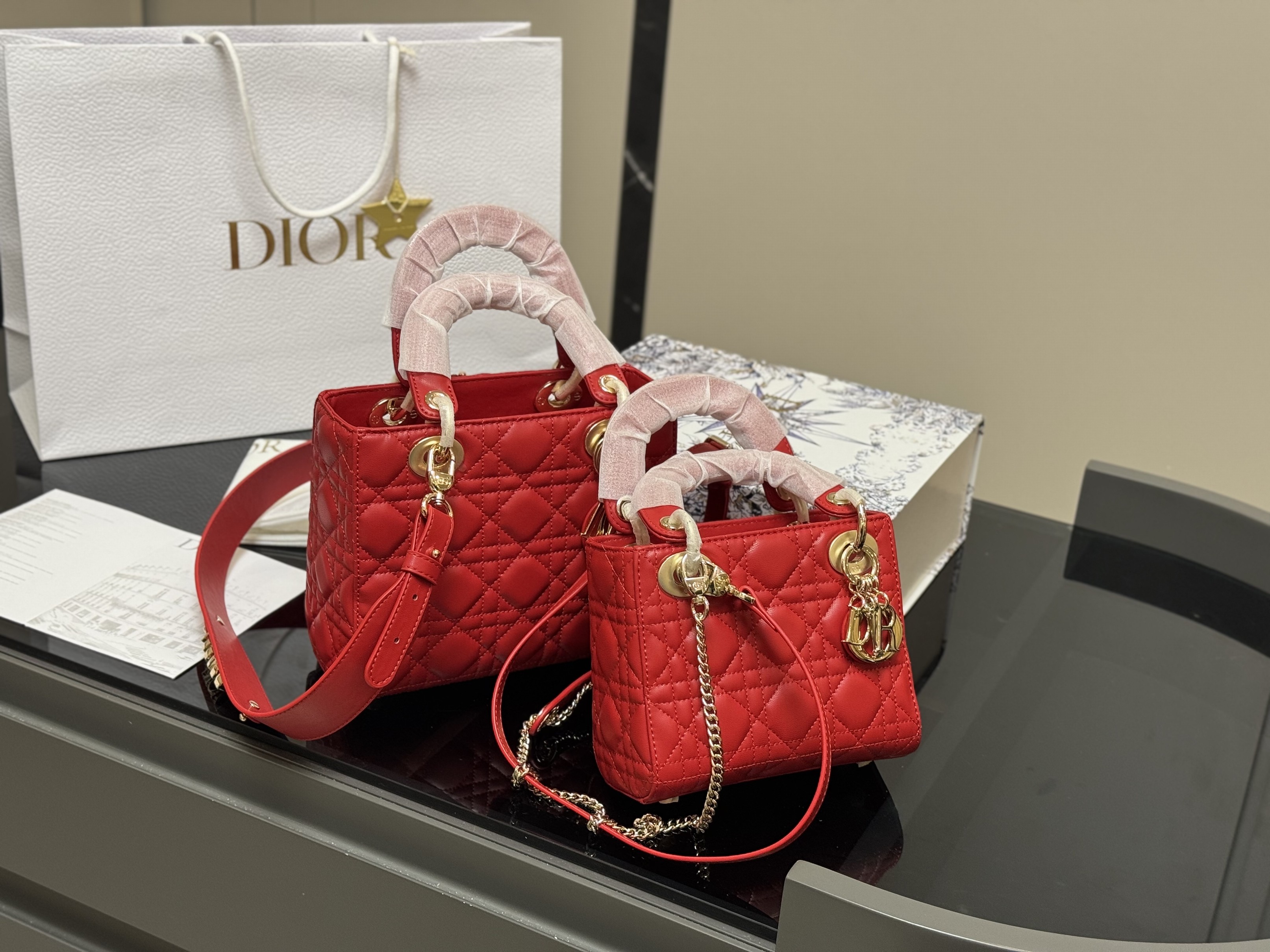 Christian Dior Bags