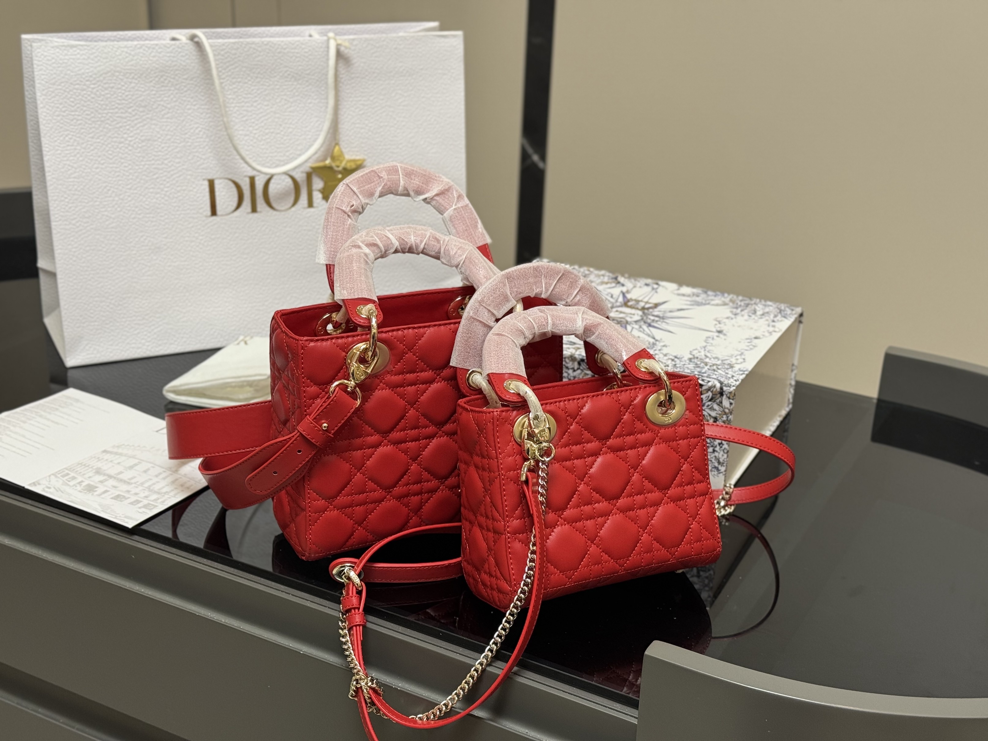 Christian Dior Bags