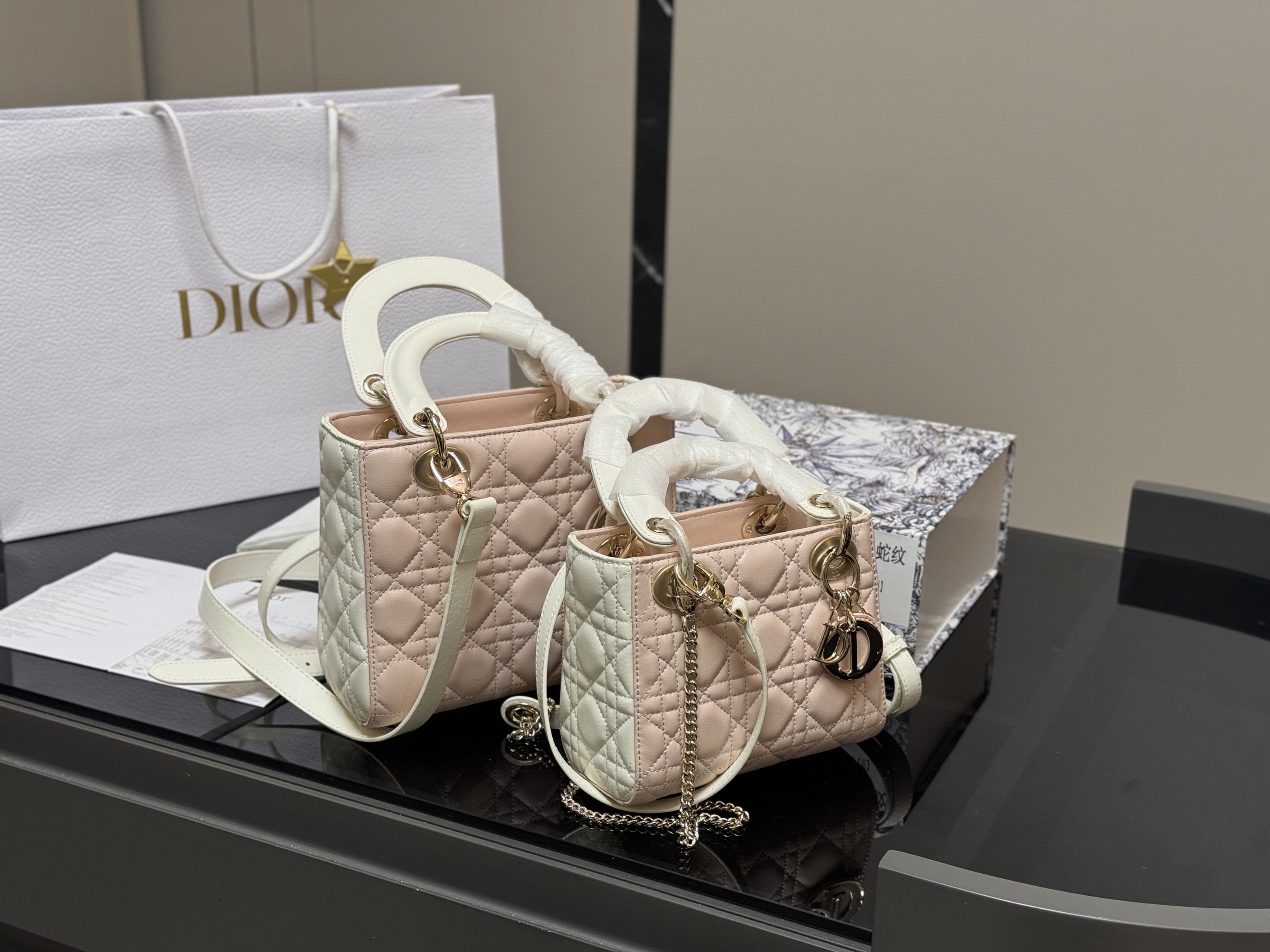 Christian Dior Bags