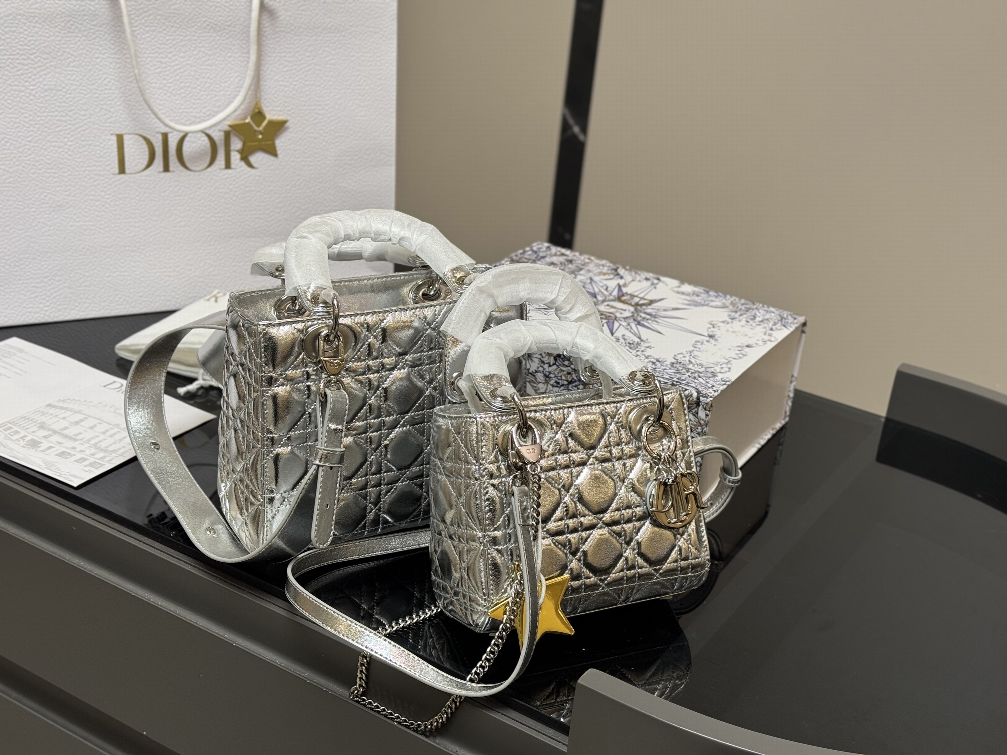 Christian Dior Bags