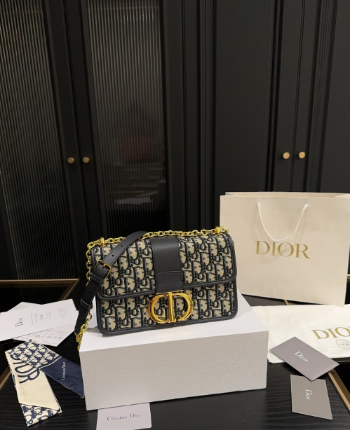 Christian Dior Bags