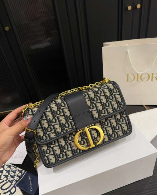 Christian Dior Bags