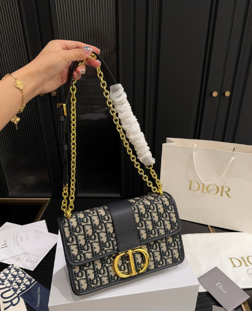 Christian Dior Bags